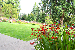 A FAIRY TALE WEDDING